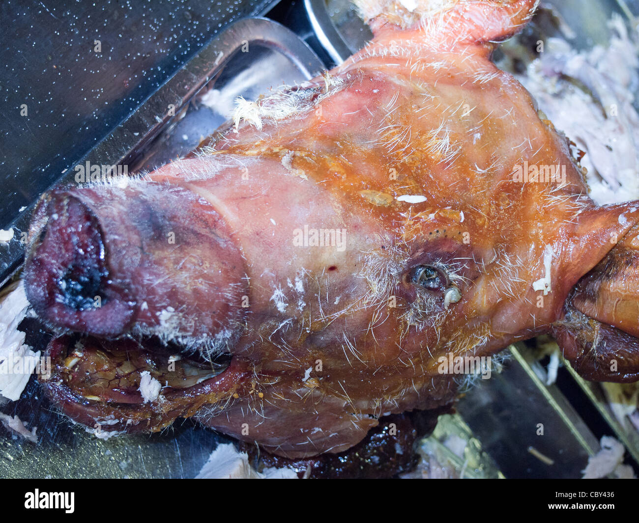 Il macabro spettacolo di una testa di suini a un arrosto di maiale. Foto Stock