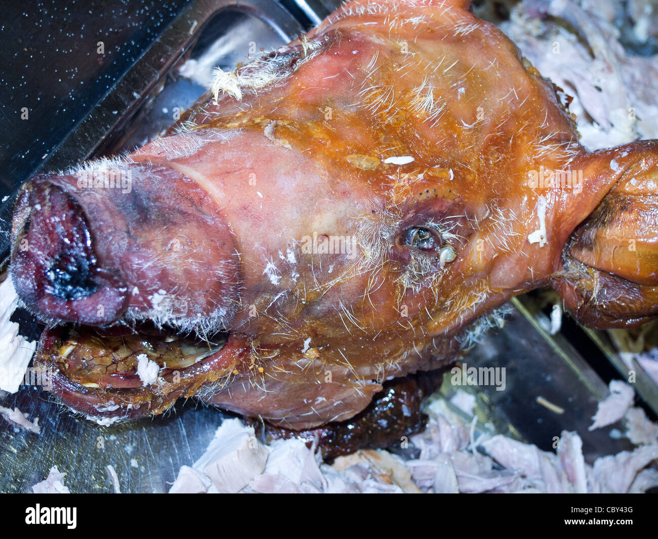 Il macabro spettacolo di una testa di suini a un arrosto di maiale. Foto Stock