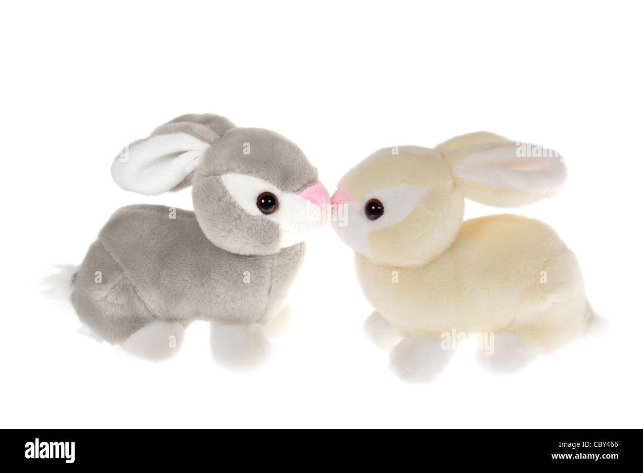 Due coniglietti, foto sullo sfondo bianco Foto Stock