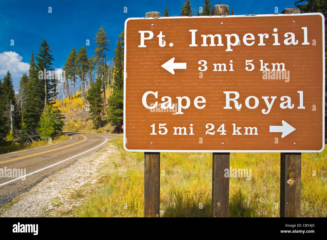 Strada panoramica per Imperial Point/Cape Royal a bordo Nord del Parco Nazionale del Grand Canyon, Arizona. Stati Uniti d'America Foto Stock