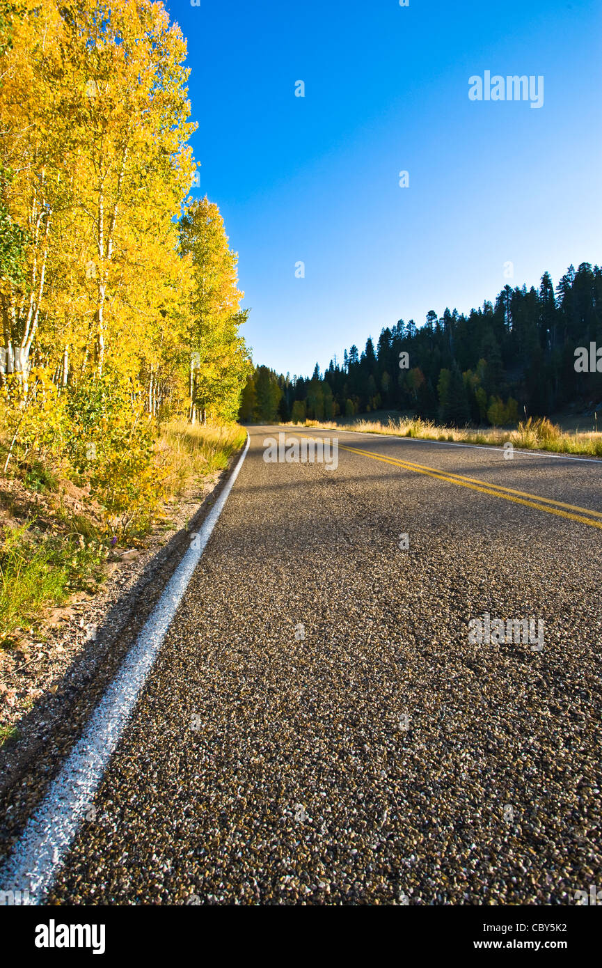 Strada panoramica per Imperial Point a bordo Nord del Parco Nazionale del Grand Canyon, Arizona. Stati Uniti d'America Foto Stock