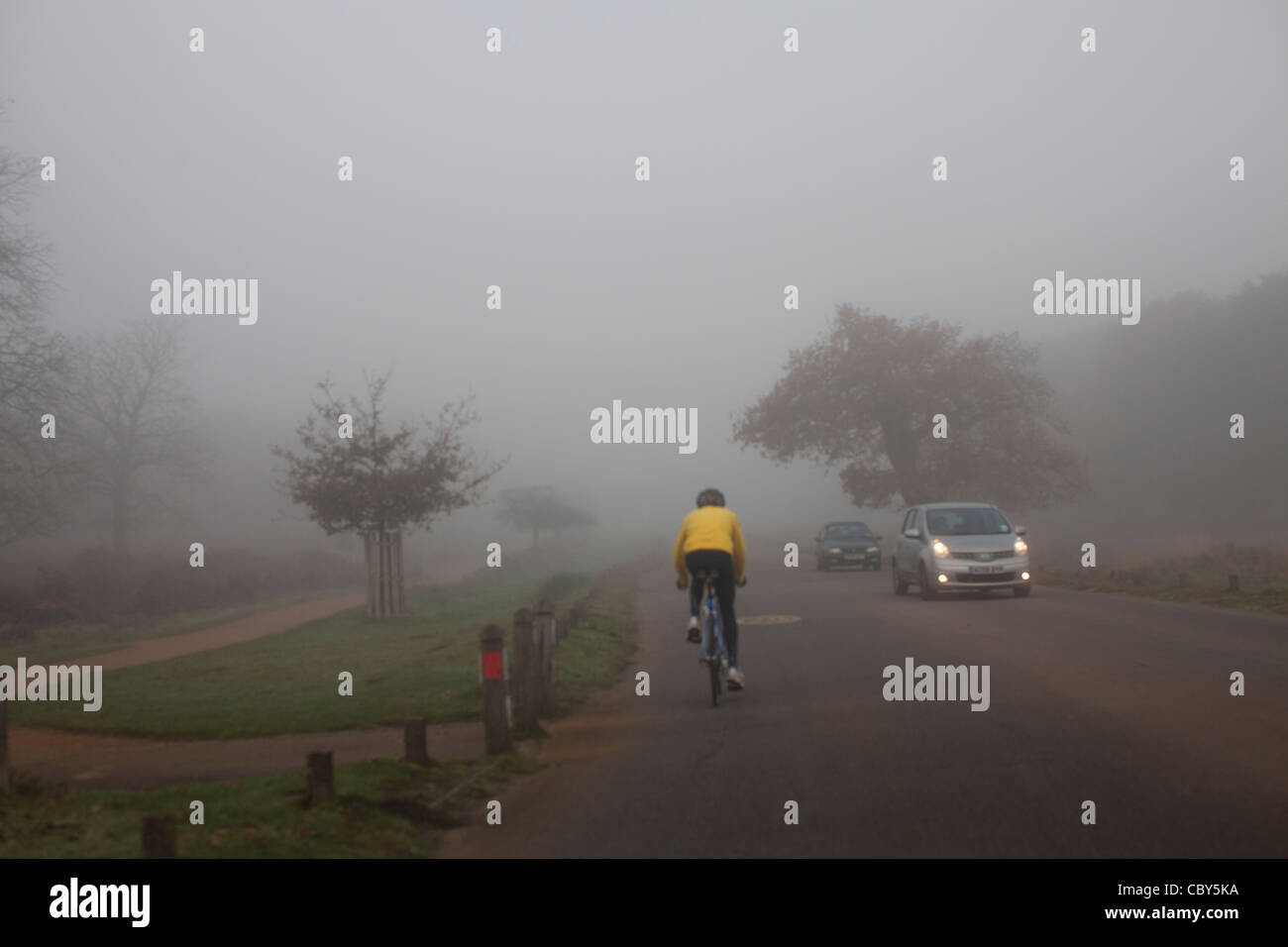 Ciclista in Richmond Park,Surrey, Inghilterra Foto Stock