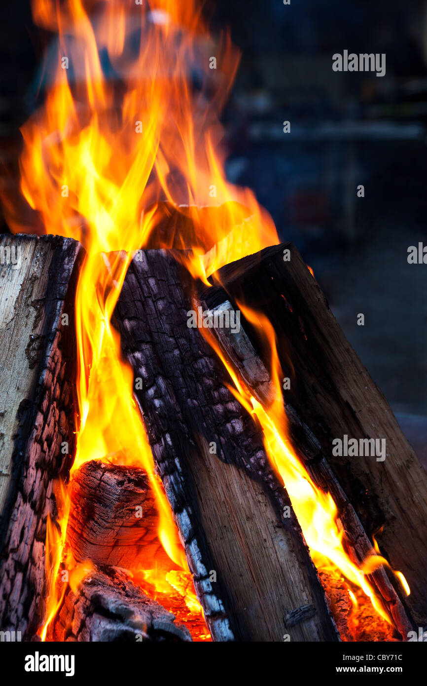 Fuoco sul rendimento di grazie Foto Stock