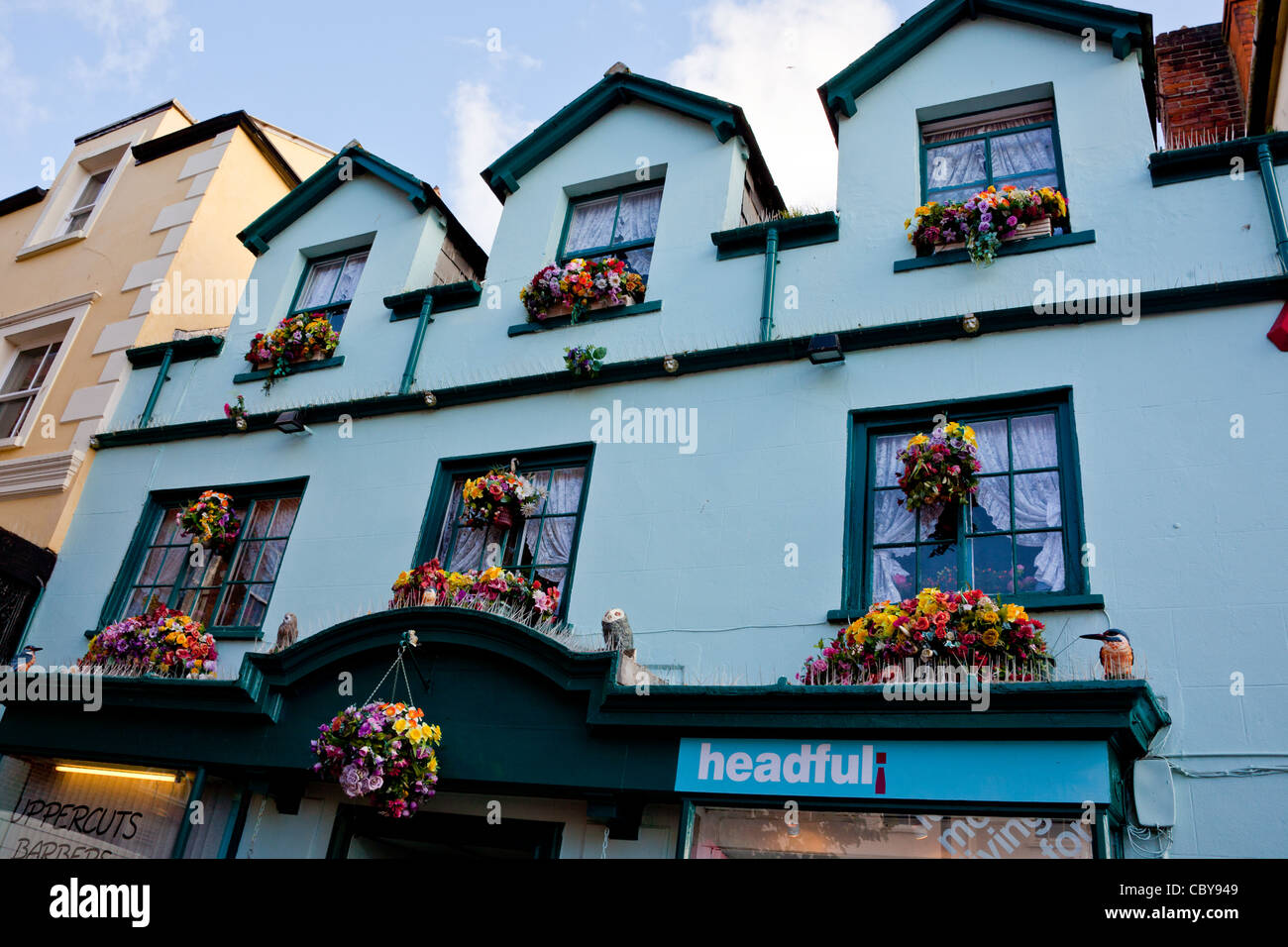 Un display a colori dei fiori di plastica in scatole di finestra sopra un negozio a Bridport, Dorset, England, Regno Unito Foto Stock