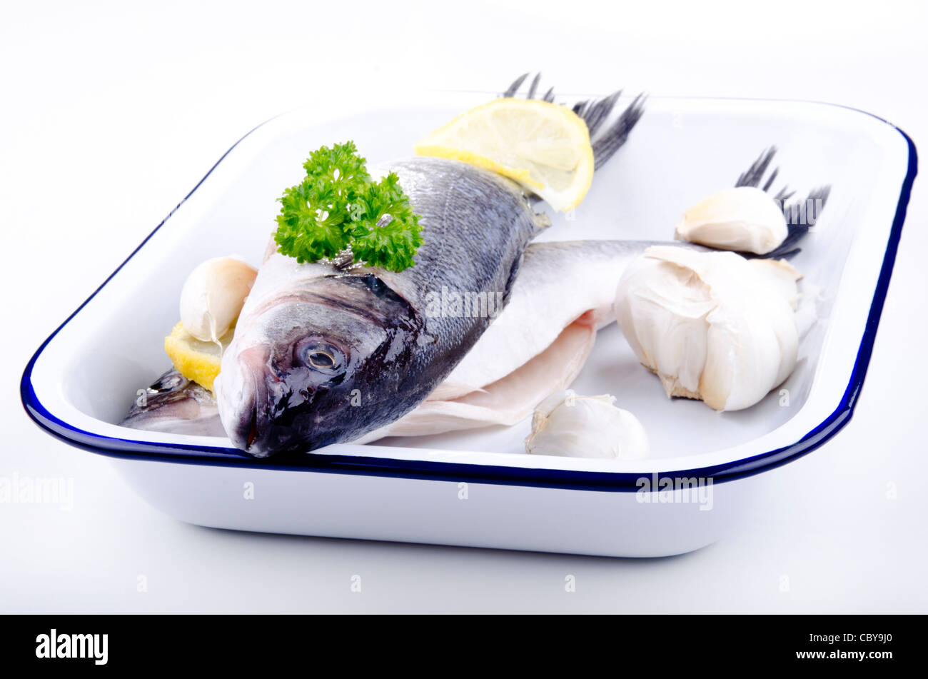 Mare ​​bass in un recipiente di smalto Foto Stock