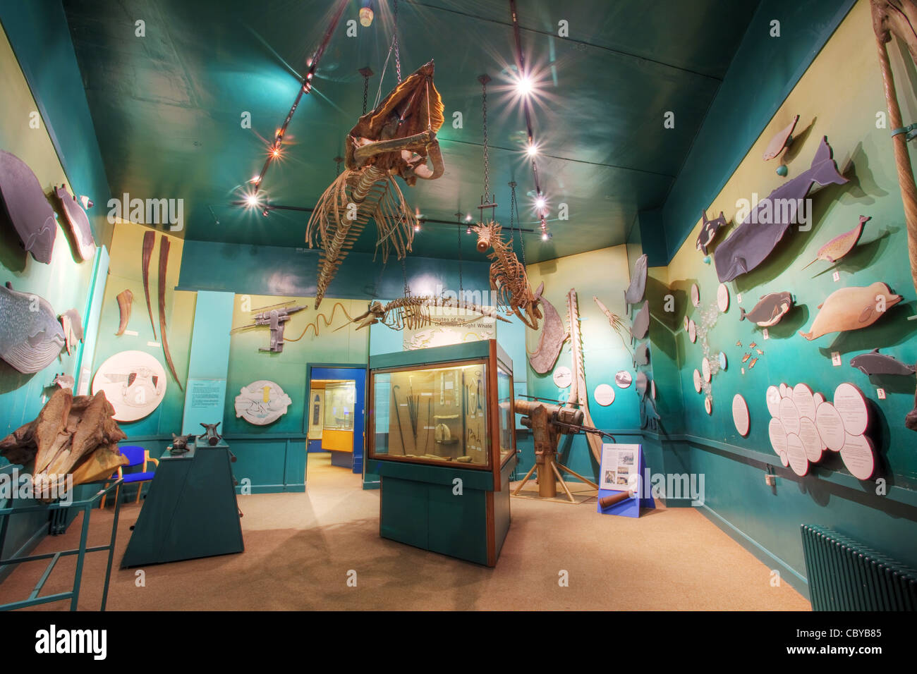 Un display sulle balene e l'industria baleniera nel Museo Marittimo, Hull, East Yorkshire Foto Stock