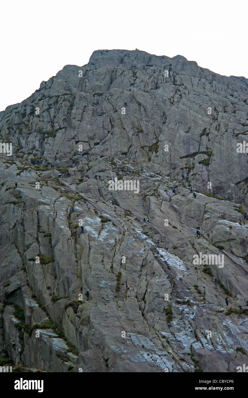 Gli alpinisti al Cwm Idwal sulle lastre Ogwen north Wales UK Foto Stock