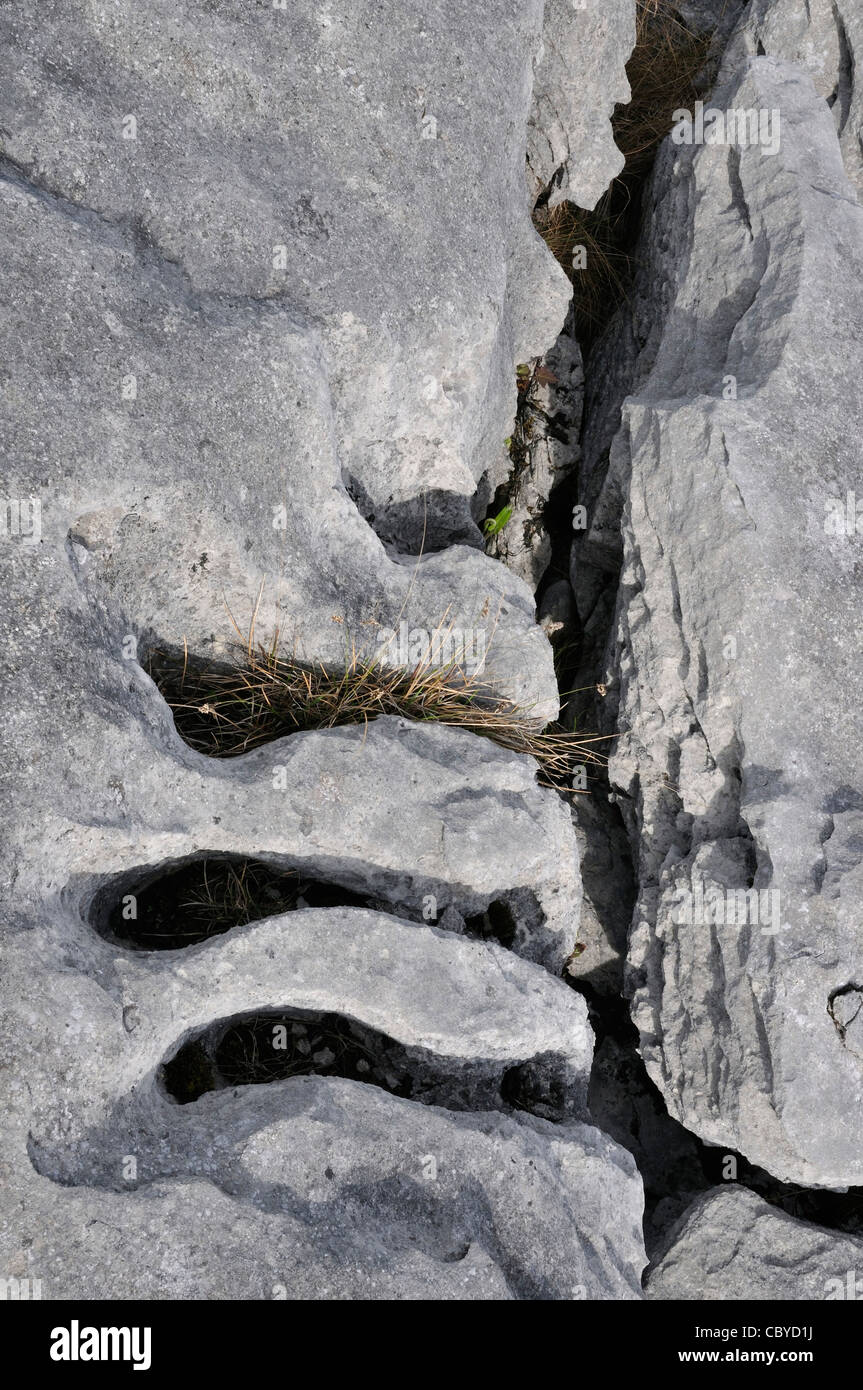 Acqua calcarea erosa Grykes, Burren Foto Stock