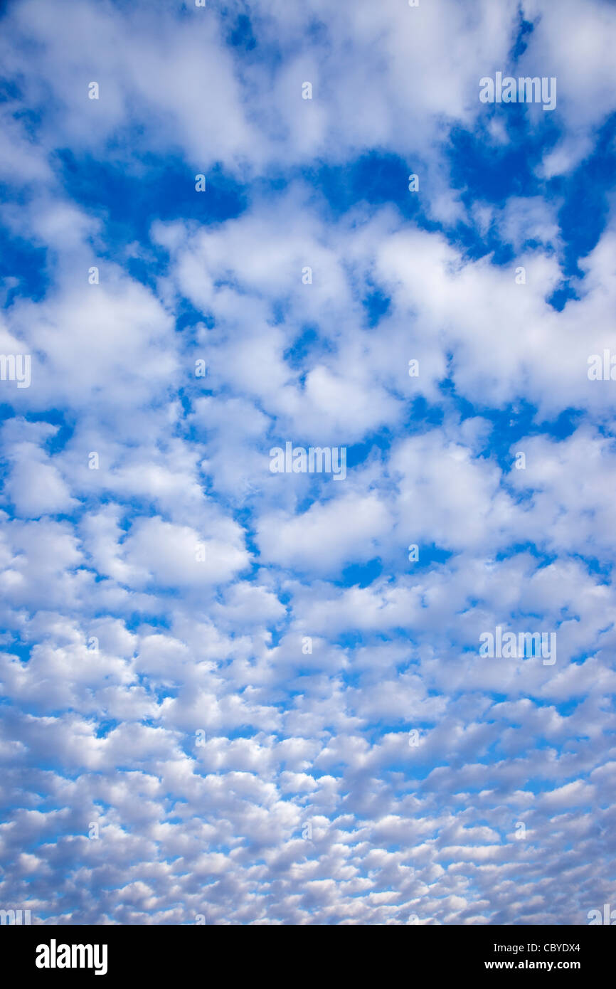 Reticolo della nube Foto Stock