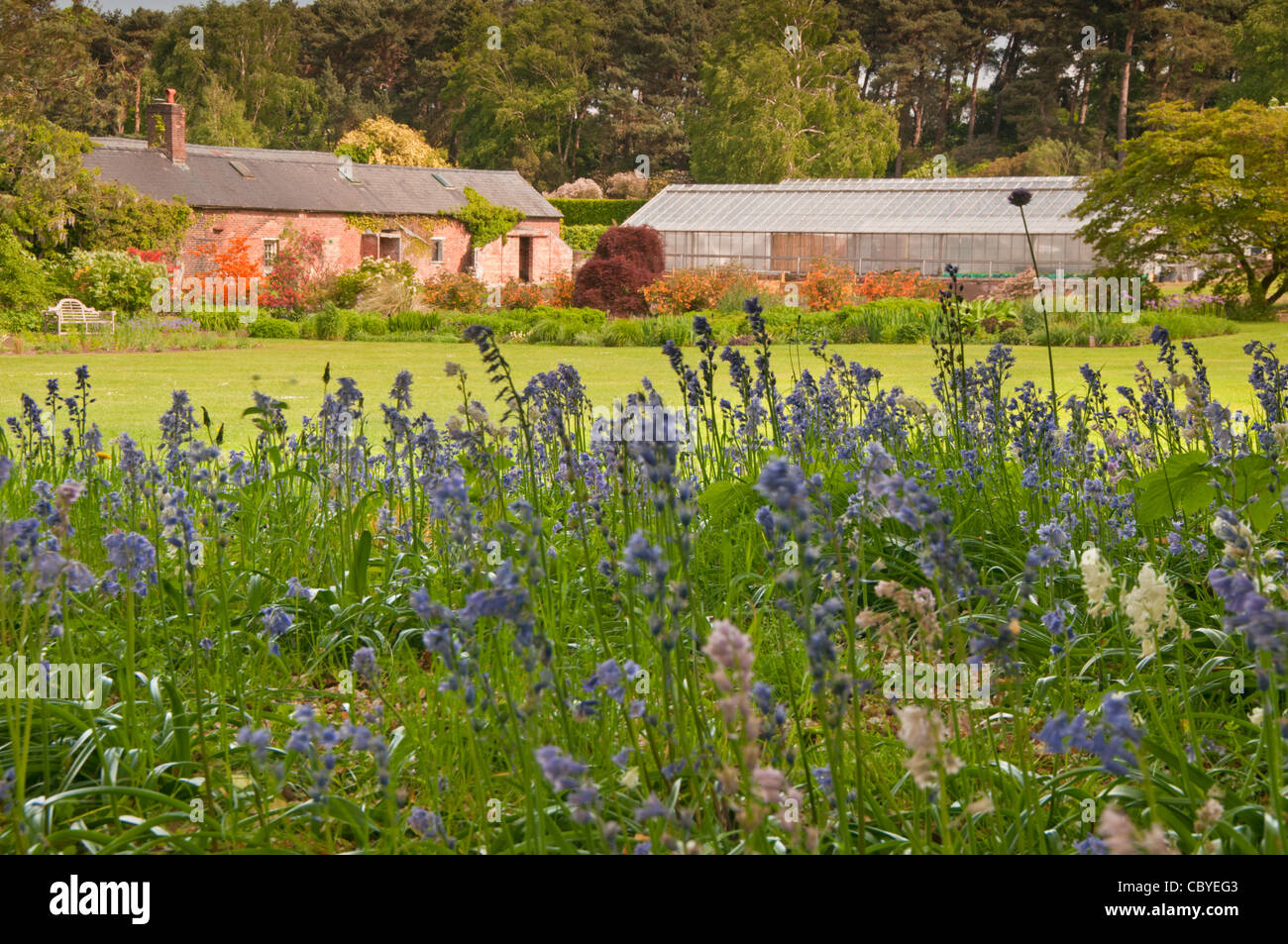 Il giardino di piante erbacee, Ness Giardini Botanici, Ness, Wirral, Merseyside England, Regno Unito Foto Stock