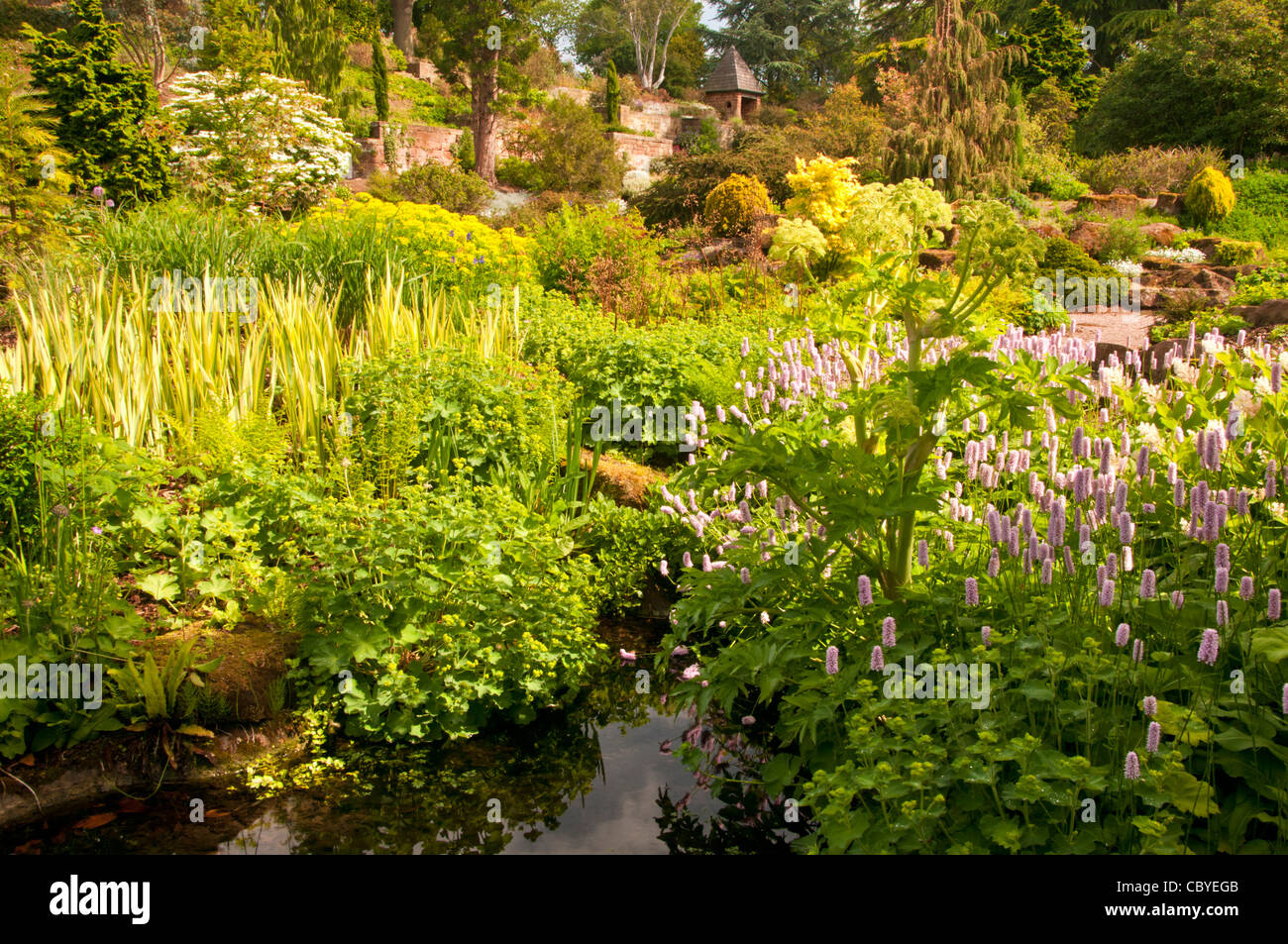La Rovina giardino, Ness Giardini Botanici, il Wirral, Merseyside England, Regno Unito Foto Stock