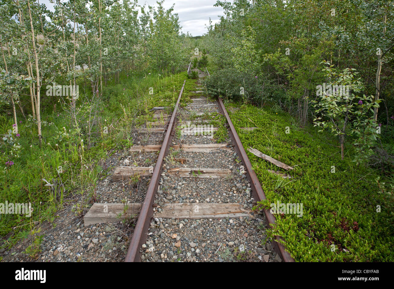 Ferrovia abbandonata. Whitehorse. Yukon. Canada Foto Stock