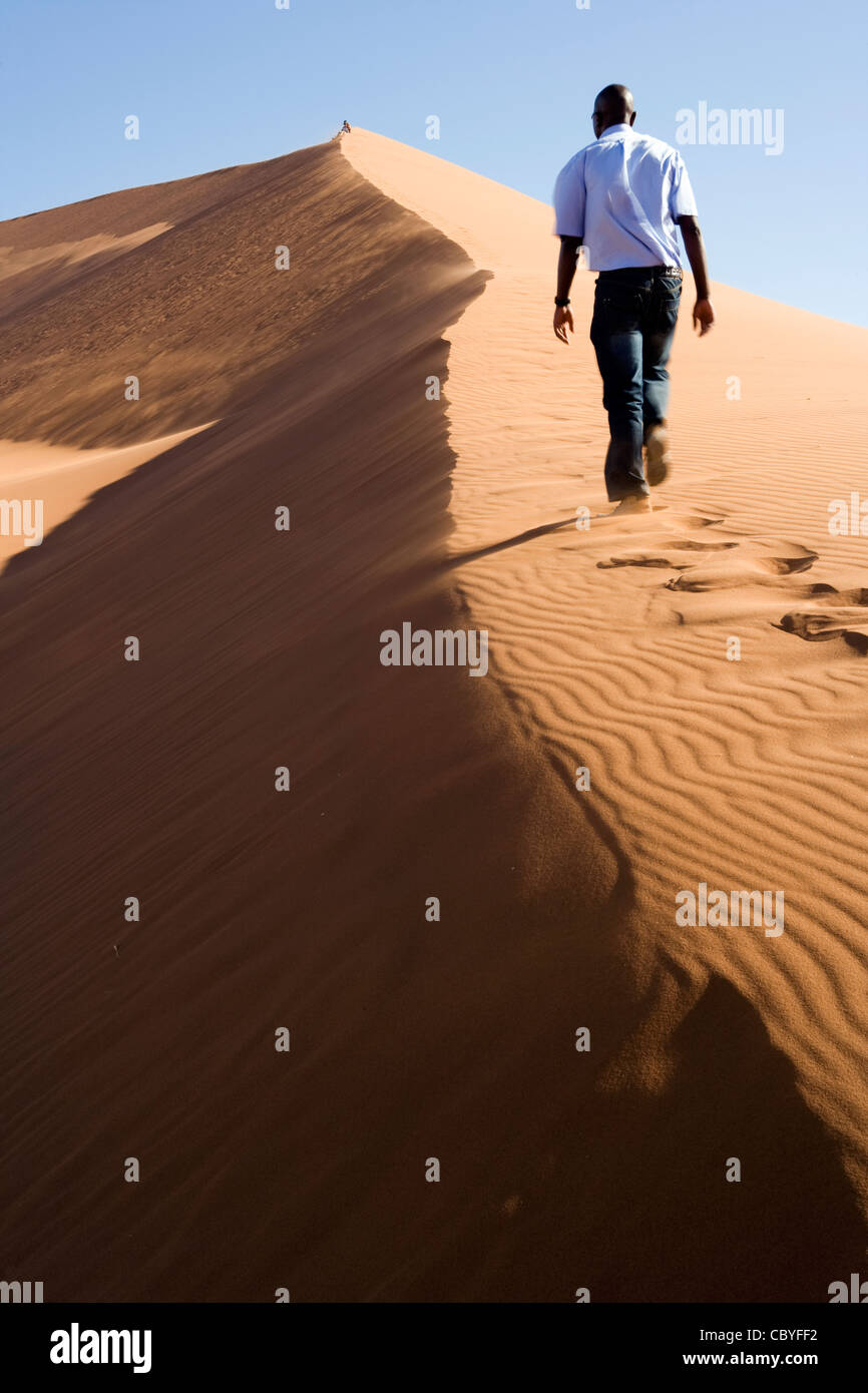 Dune 45 - Sossusvlei National Park - Namib-Naukluft National Park, Namibia, Africa Foto Stock