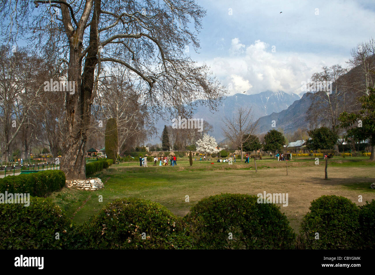 Giardino Mughal a Srinagar, Kashmir, India Foto Stock