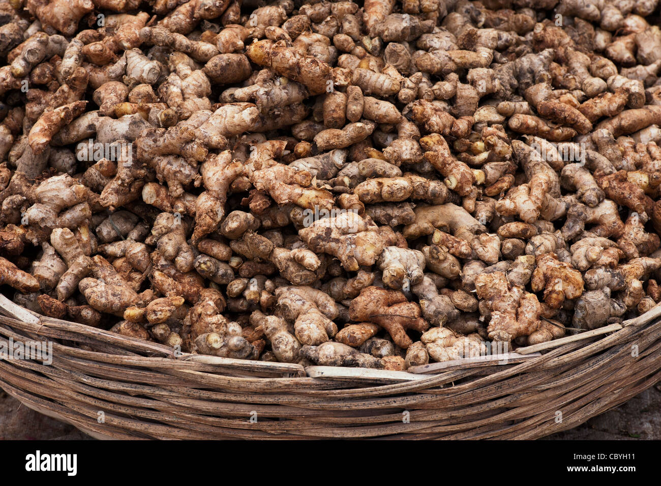 Radice fresca di zenzero in un cestello ad un mercato indiano. Andhra Pradesh, India Foto Stock