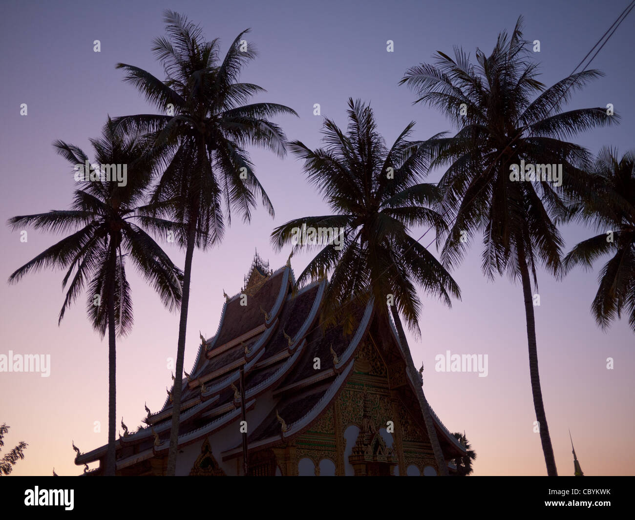 Tropical palme da cocco grazia Haw Pha Bang (Golden Hall) al tramonto a Luang Prabang, Laos. Foto Stock