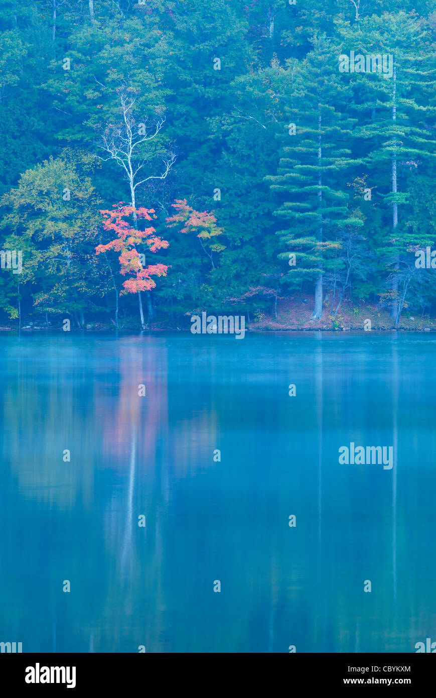 I colori dell'autunno al Lago Smeraldo parco statale, Vermont. Foto Stock