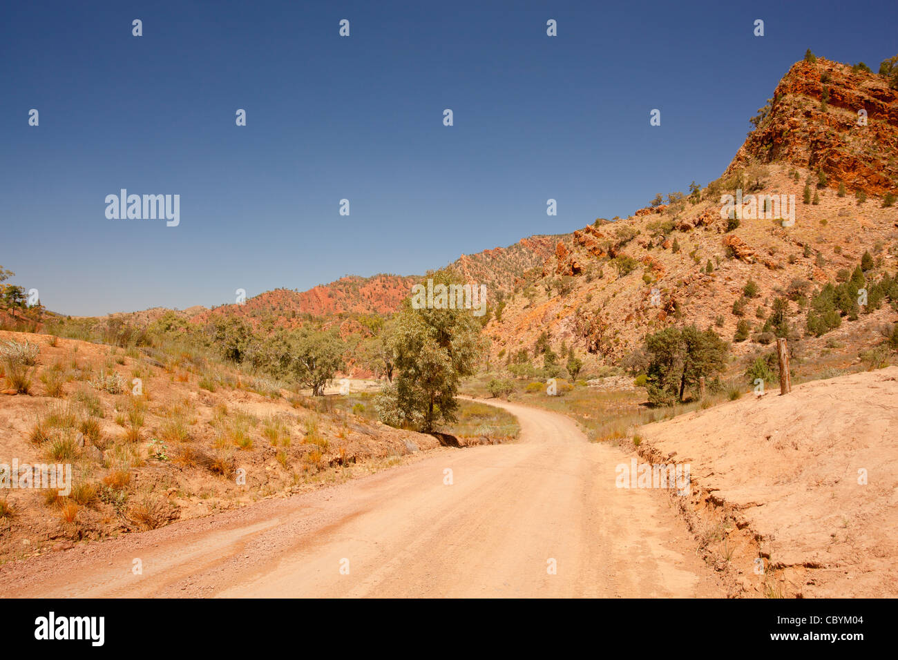 Robusto Brachina Gorge in Flinders Ranges National Park in outback Australia del Sud Foto Stock