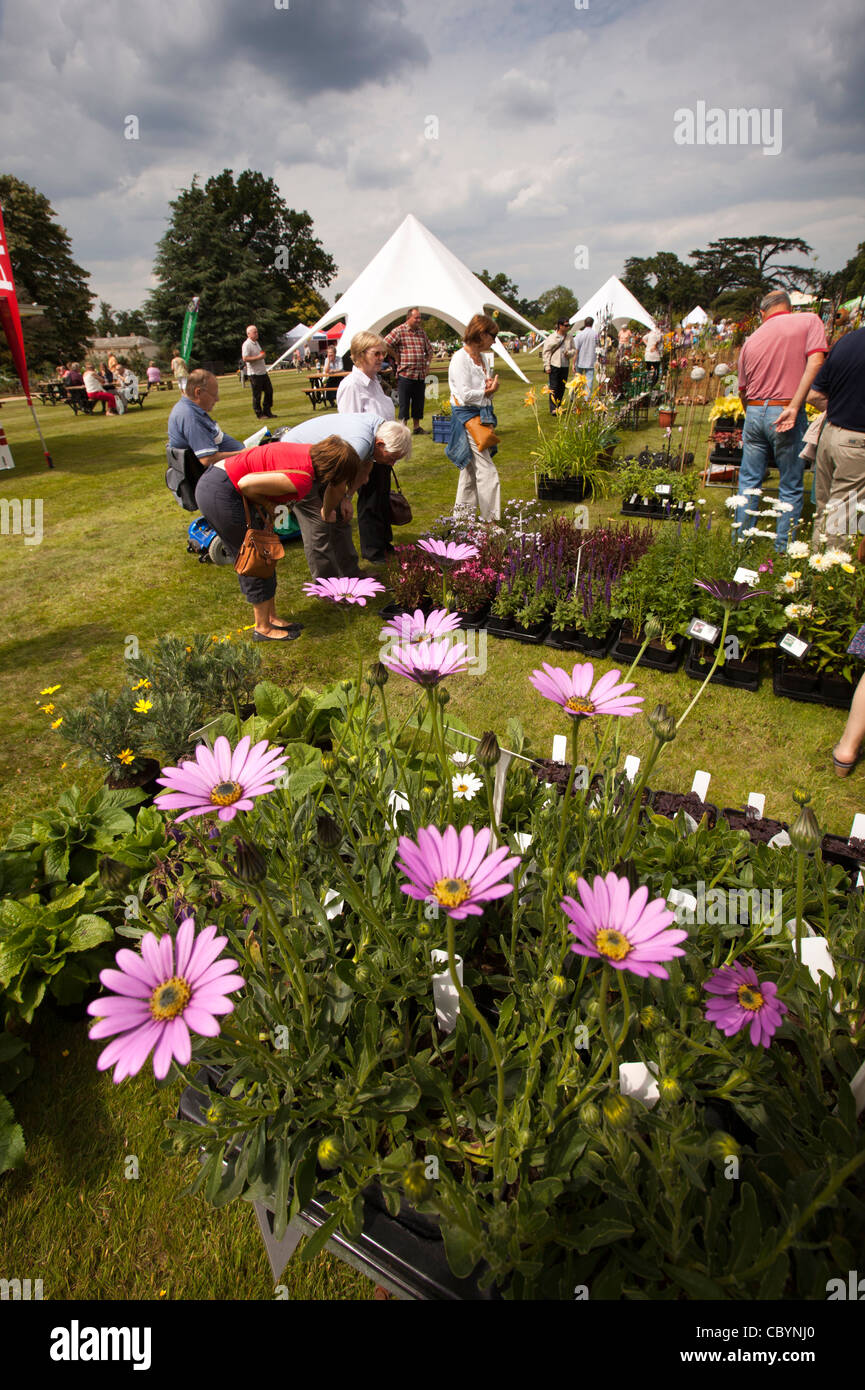 Regno Unito, Inghilterra, Bedfordshire, Woburn Abbey Garden Show, i visitatori in cerca di bancarelle di piante Foto Stock