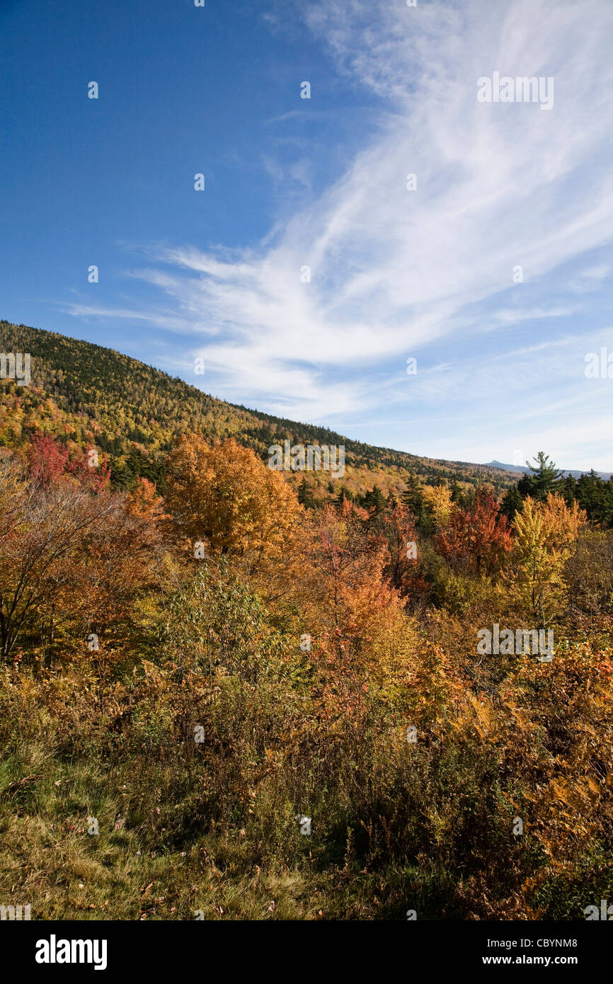 Scene di White Mountain National Forest da sopportare la tacca Road, New Hampshire. Foto Stock