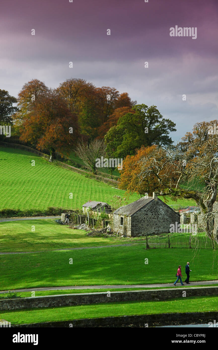 Gli inizi di colore di autunno a Aberglasney giardino vicino a Carmarthen, Galles Foto Stock