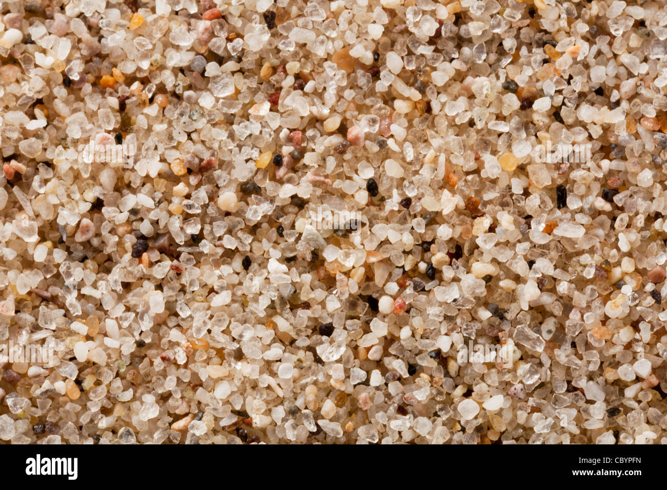 La sabbia di quarzo grano a 4 volte la vita-Ingrandimento dimensione, un campione da grandi dune di sabbia del Parco Nazionale, Colorado Foto Stock