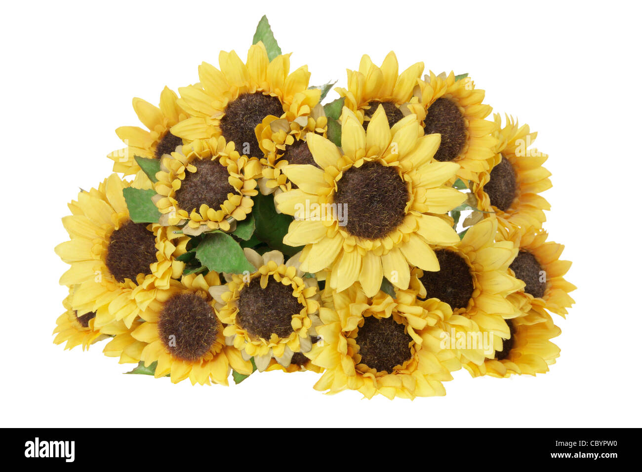 Gerbere gialle Foto Stock