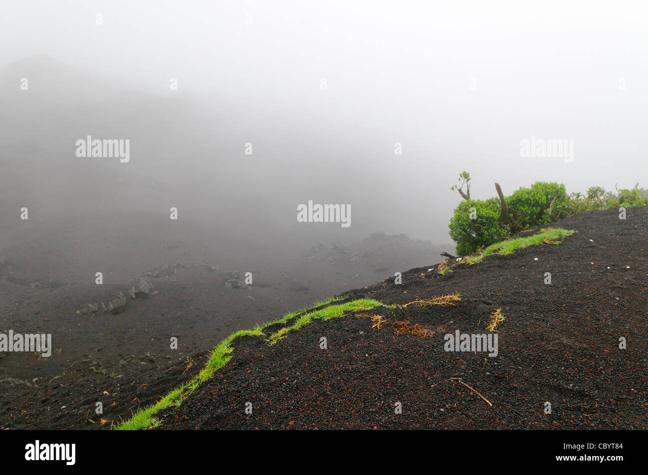 VULCANO PACAYA, Guatemala: Nebbie e nuvole avvolgono il sottomarino del vulcano Pacaya. Pacaya è un vulcano attivo che fa parte dell'arco vulcanico dell'America centrale. Costituisce una popolare destinazione turistica facilmente accessibile da Antigua e città del Guatemala. Situato all'interno del Parco Nazionale Pacaya, si erge a 2.552 metri (8.373 piedi). La sua ultima grande eruzione, che causò una notevole damange ai villaggi vicini e rimodellò la cima, fu nel maggio 2010. Quell'eruzione e la cenere vulcanica sparsa su gran parte della zona vicina, provocando la chiusura delle scuole e le evacuazioni di emergenza e ha eliminato gran parte del Foto Stock