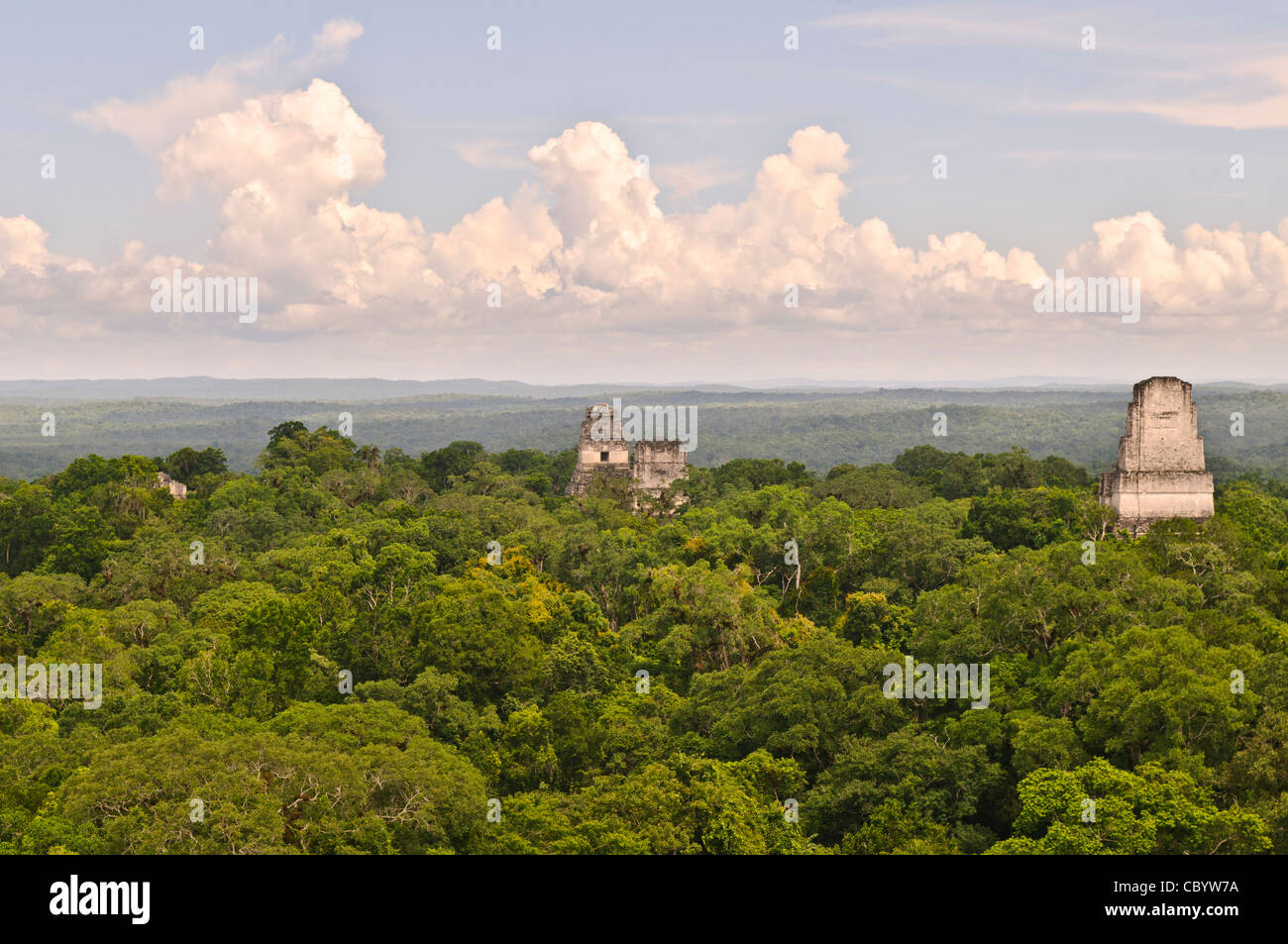 Rovine Maya di Tikal, Tempio IV, Vista del Guatemala // Vista delle rovine Maya di Tikal e del baldacchino della giungla dalla cima del Tempio IV, la più alta delle numerose piramidi del sito. A sinistra della cornice si può vedere una piccola parte dell'Acropoli settentrionale, quindi, da sinistra a destra, si possono vedere le cime del Tempio 1 (Tempio del grande Giaguaro), del Tempio 2 (Tempio delle Maschere) e del Tempio 3 (Tempio del sacerdote Giaguaro). Da questo punto panoramico, si possono osservare e sentire le scimmie urlatrici, le scimmie ragni e molti uccelli che si muovono attraverso le cime degli alberi. Foto Stock