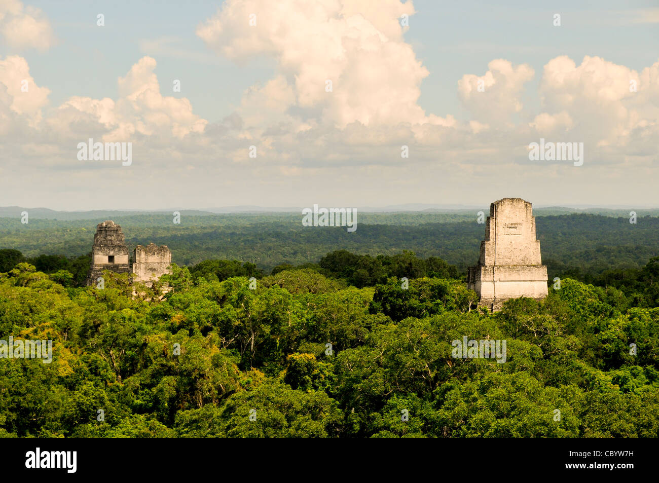Rovine Maya di Tikal dal Tempio IV Guatemala // Vista delle rovine Maya di Tikal, il baldacchino della giungla e l'orizzonte, dalla cima del Tempio IV, la più alta delle numerose piramidi del sito. Da sinistra a destra, si possono vedere le cime del Tempio 1 (Tempio del grande Giaguaro), del Tempio 2 (Tempio delle Maschere) e del Tempio 3 (Tempio del Giaguaro). Da questo punto panoramico, si possono osservare e sentire le scimmie urlatrici, le scimmie ragni e molti uccelli che si muovono attraverso le cime degli alberi. Foto Stock