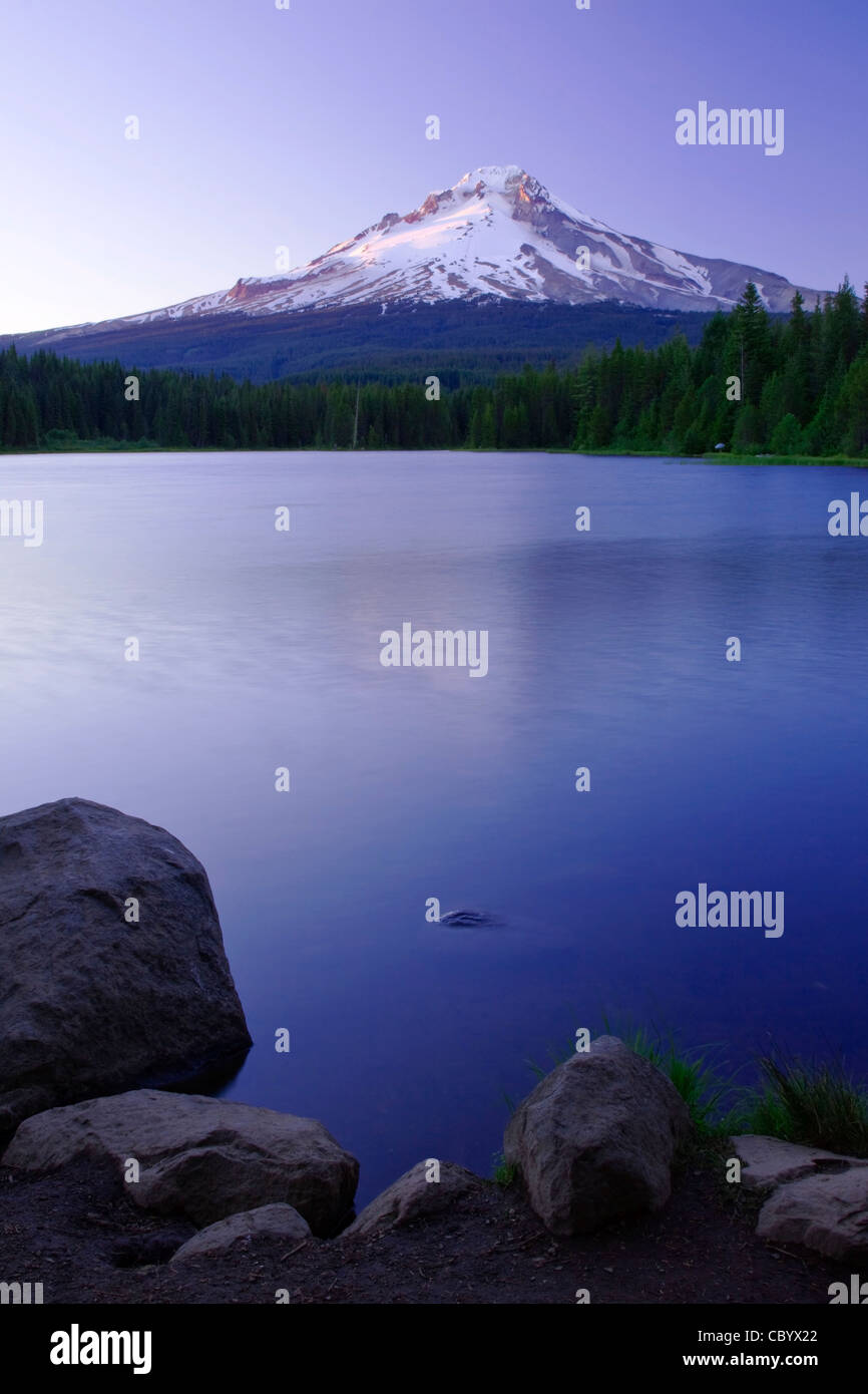 Oregon Mt il cofano dietro Trillium lago al crepuscolo Foto Stock