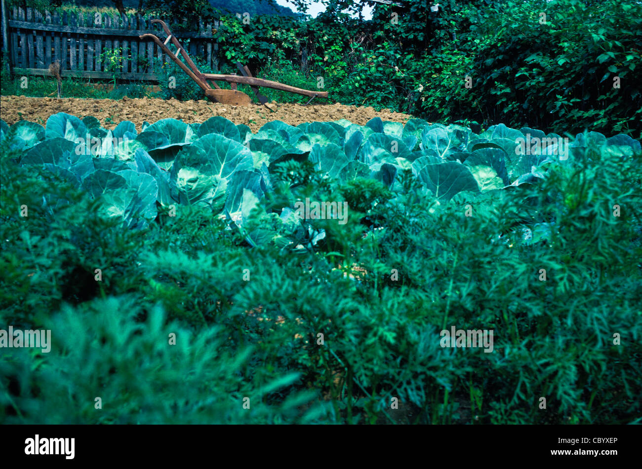Landis Valley farm museum grande collezione storica fine Ottocento inizio Novecento americano antiquariato attrezzatura piccola cittadina stile di vita Foto Stock