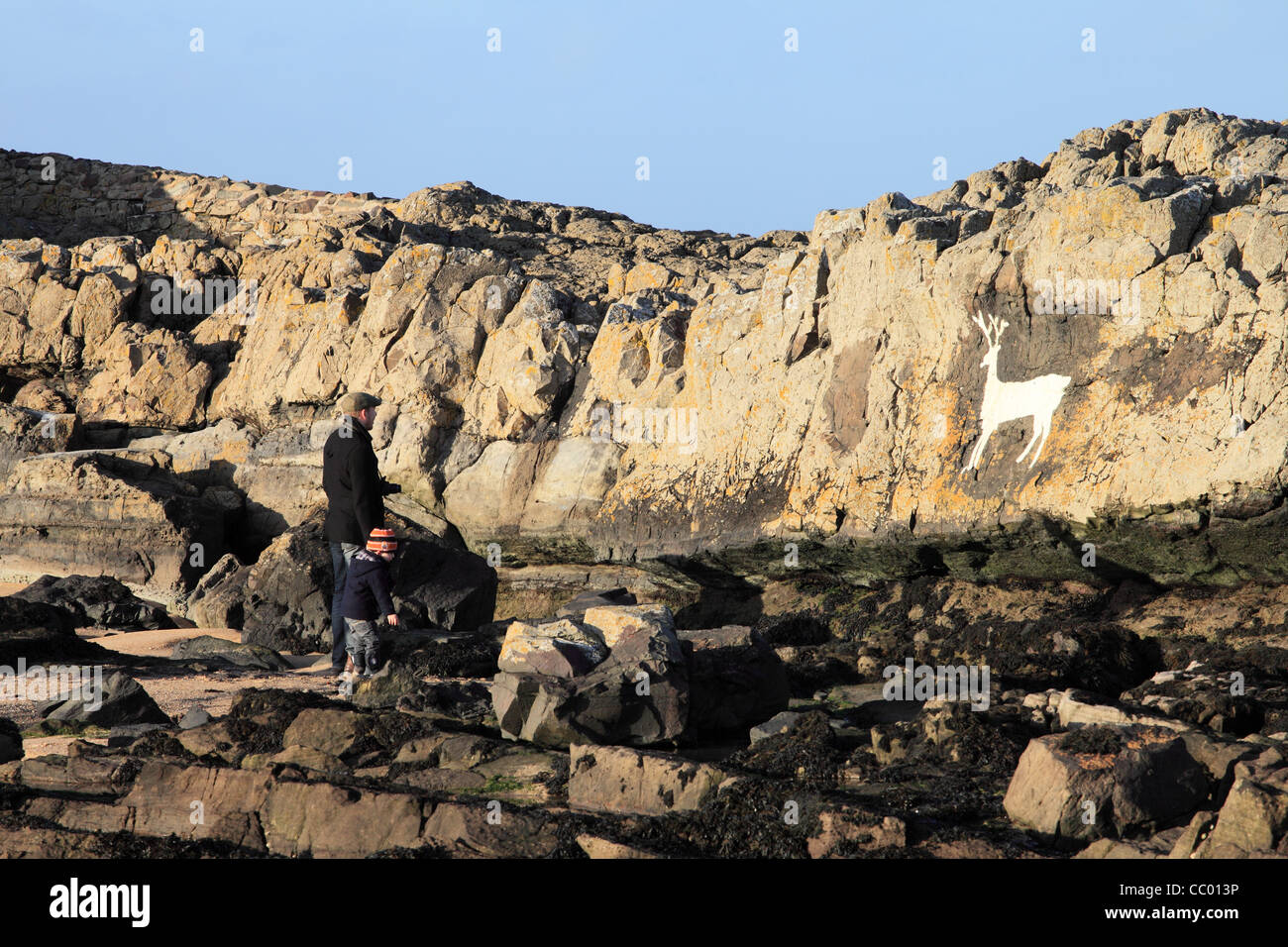 Padre e figlio ammirare il dipinto di bianco a Stag Cervo Bamburgh Rock Foto Stock