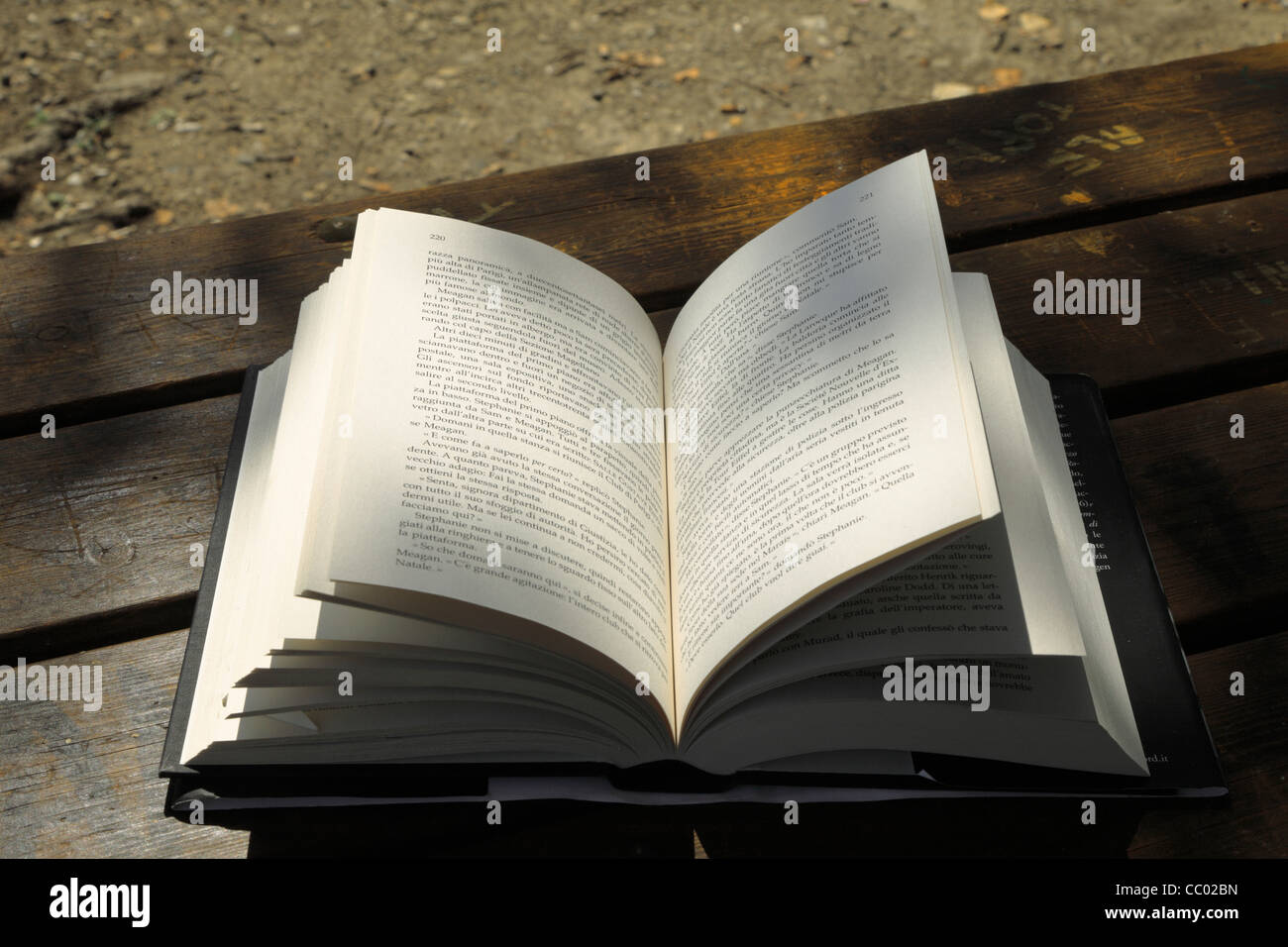 Libro illuminata dal sole Foto Stock