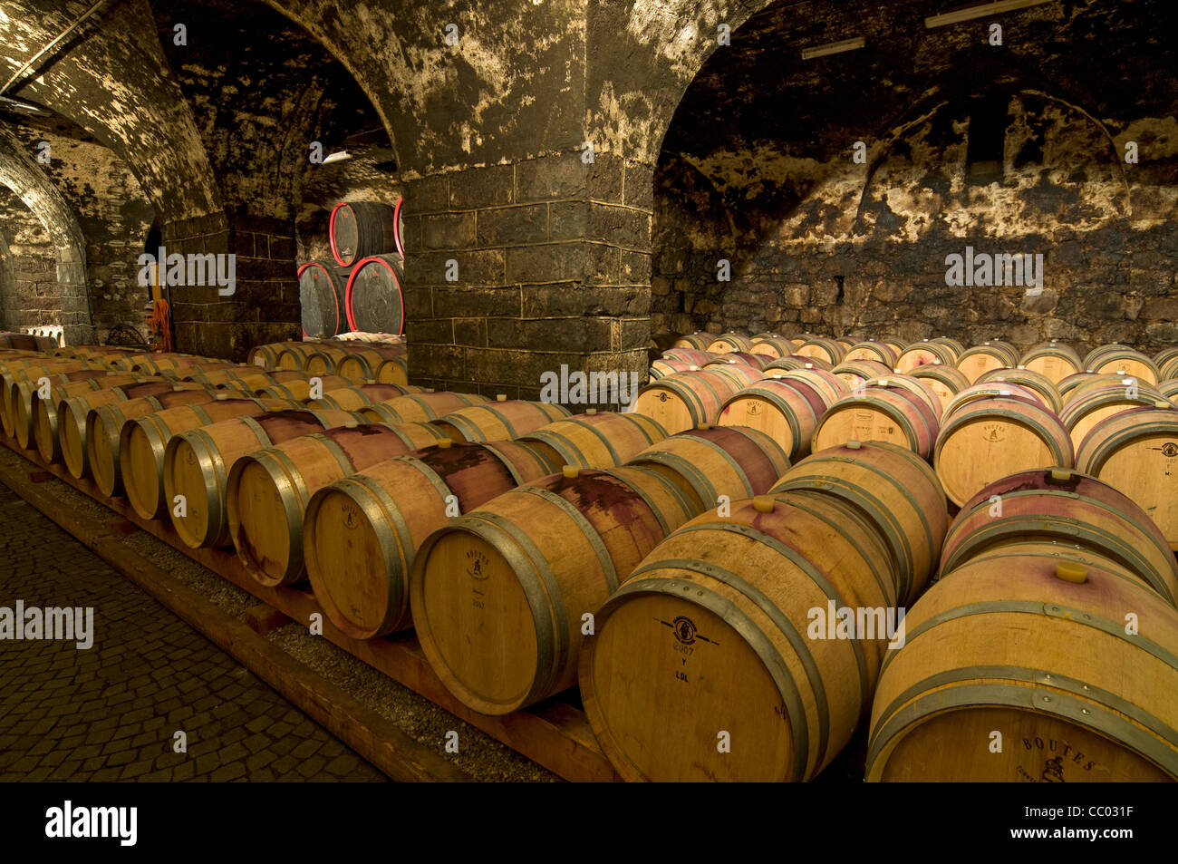 Invecchiamento del vino in botti di rovere nella cantina con soffitto a volta in Bolzano (Bozen), Trentino-Alto Adige, Italia Foto Stock