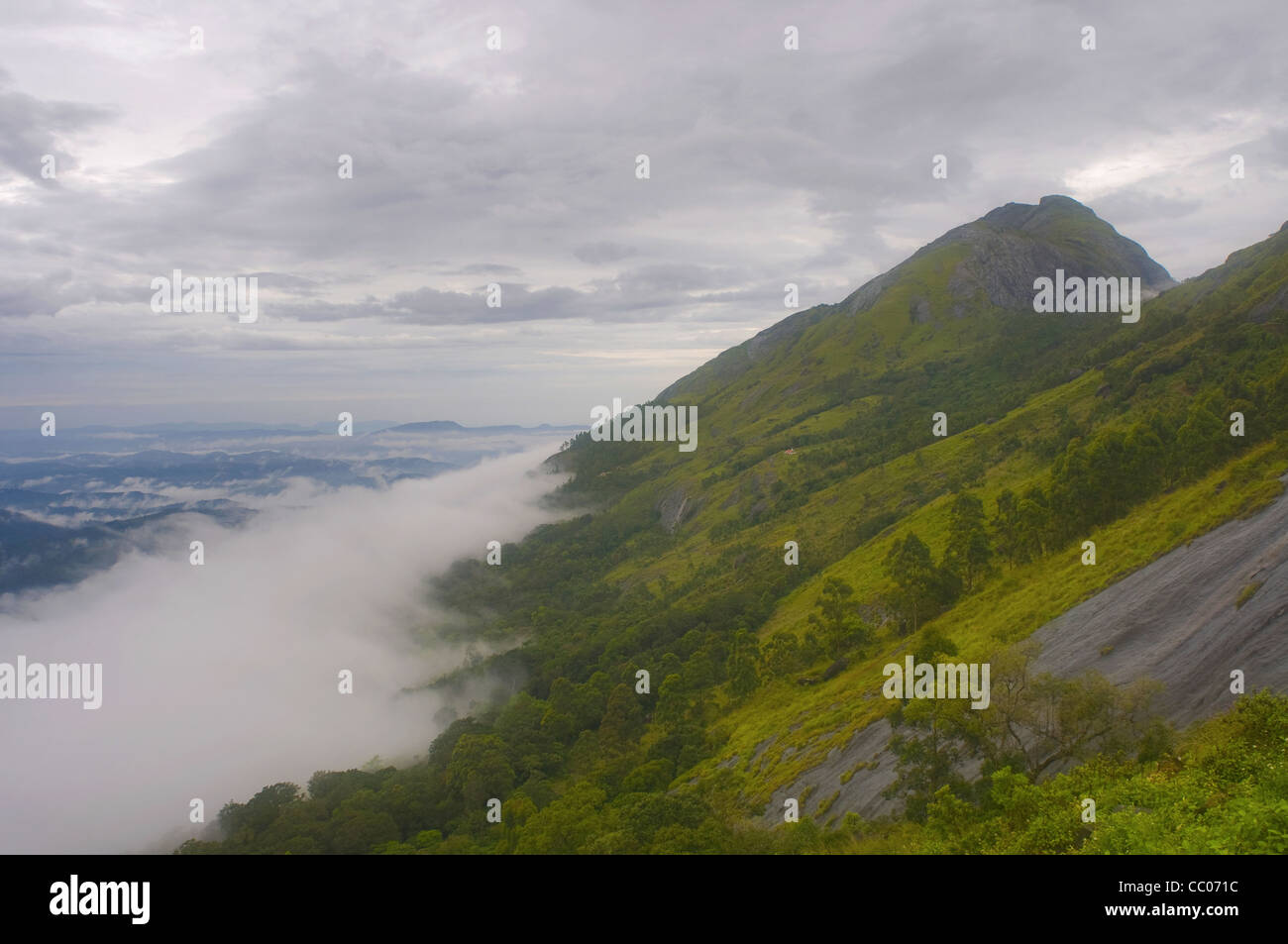 Lungo il tragitto a Munnar tea gardens Foto Stock