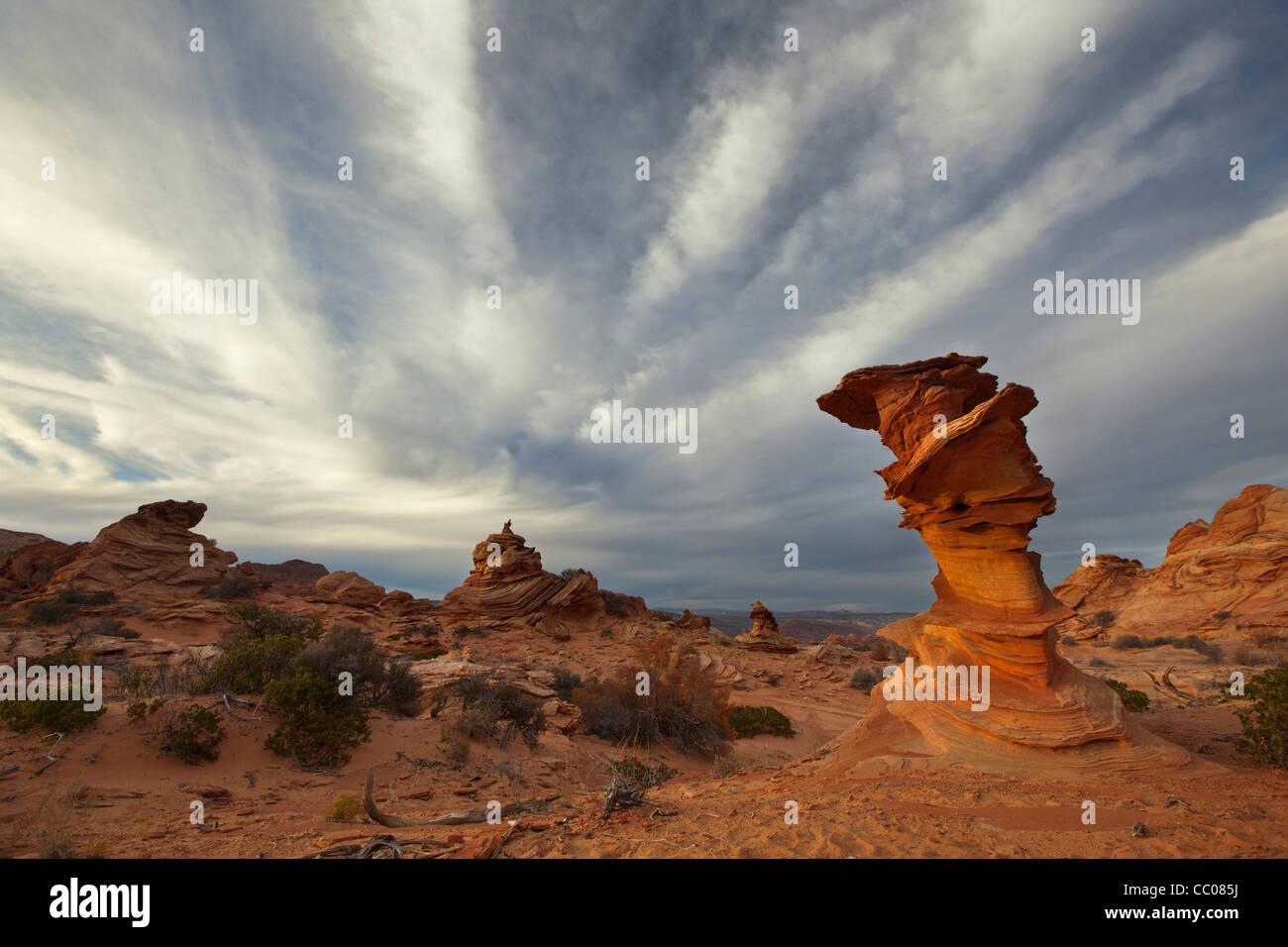 Dispari di arenaria sagomata formazioni rocciose in Sud Coyote Buttes Paria Canyon-Vermilion Cliffs Wilderness Area in Arizona Foto Stock