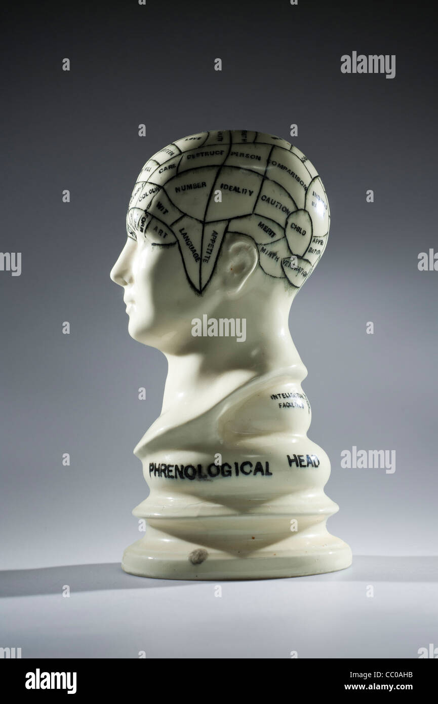 Il Phrenology - la scienza che studia i rapporti tra una persona il carattere e la morfologia del cranio Foto Stock