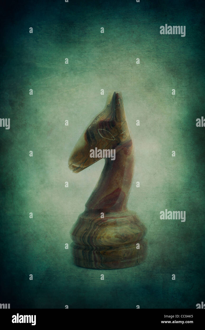 Cavaliere di scacchi Foto Stock