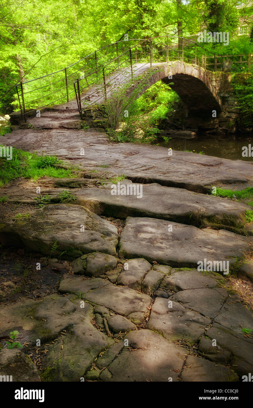 Un antico ponte in pietra nel bosco Foto Stock