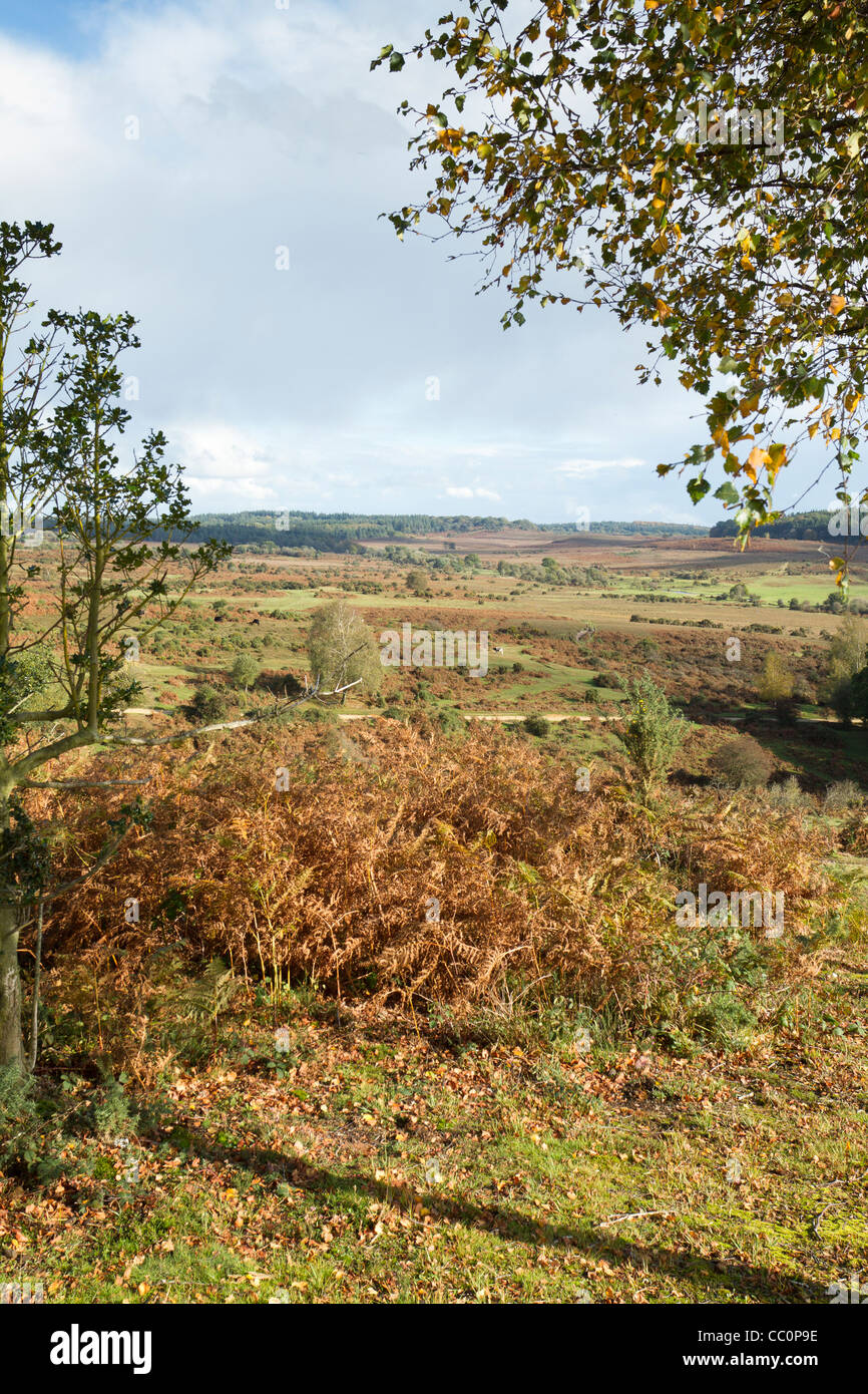 Vista del nuovo Parco Nazionale Foreste bassa moorland dall'area Frogham Foto Stock