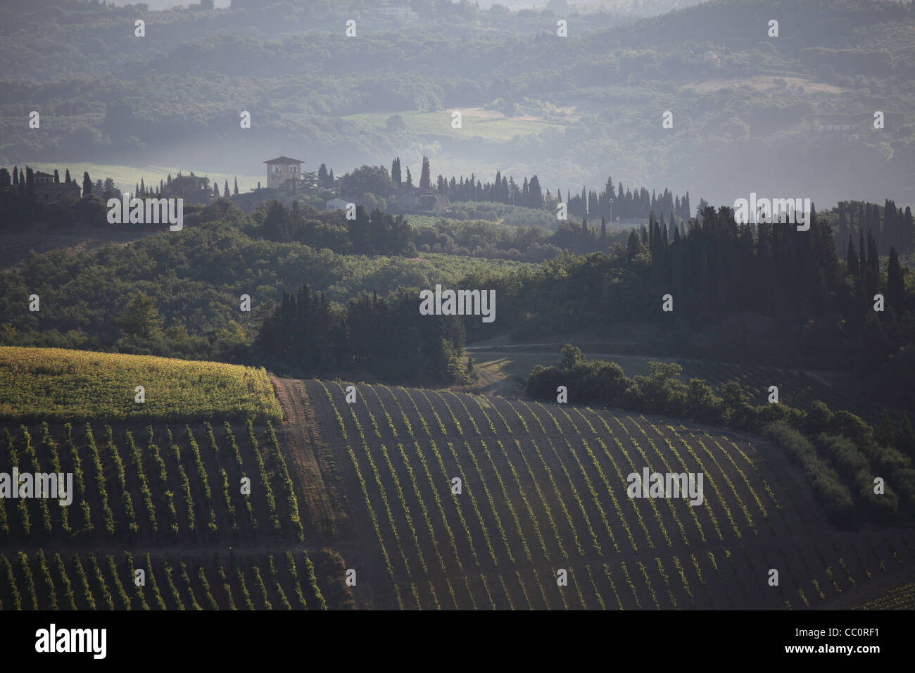 I vigneti e Misty Hills vicino a San Gimignano Foto Stock
