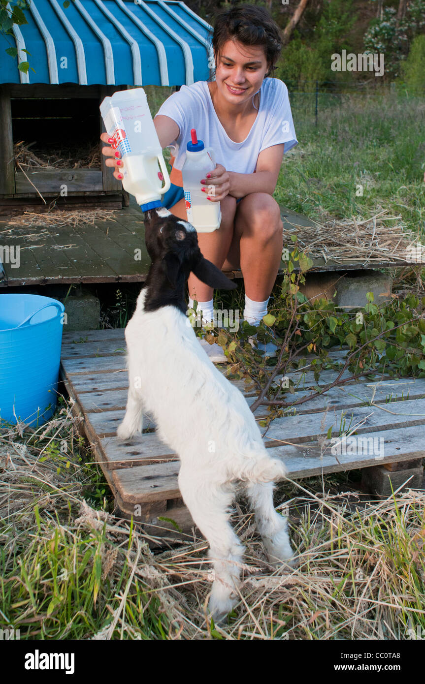 Bella giovane adolescente che dà da mangiare ai suoi bambini di capra allevati a croce nubiana Foto Stock