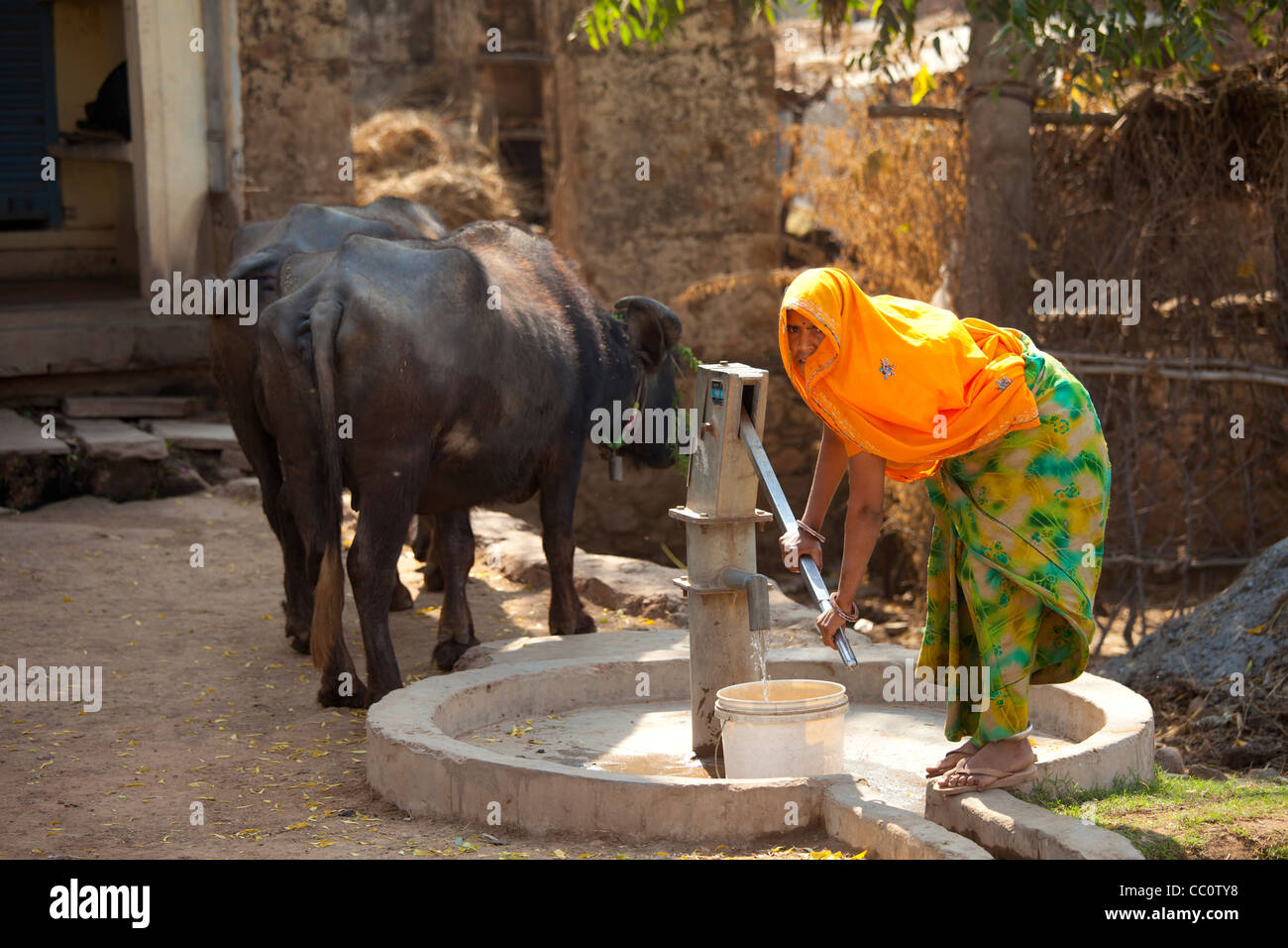Donna indiana abitante il pompaggio di acqua da un pozzo a Sawai Madhopur nel Rajasthan, India settentrionale Foto Stock