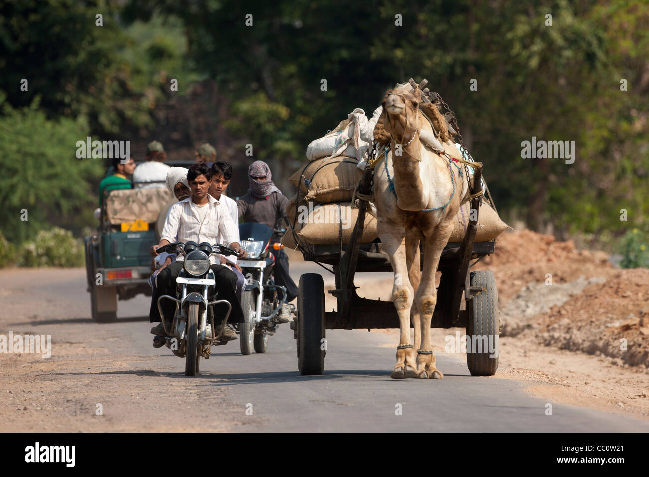 Indian uomini sulla moto e cammello carrello in Sawai Madhopur nel Rajasthan, India settentrionale Foto Stock