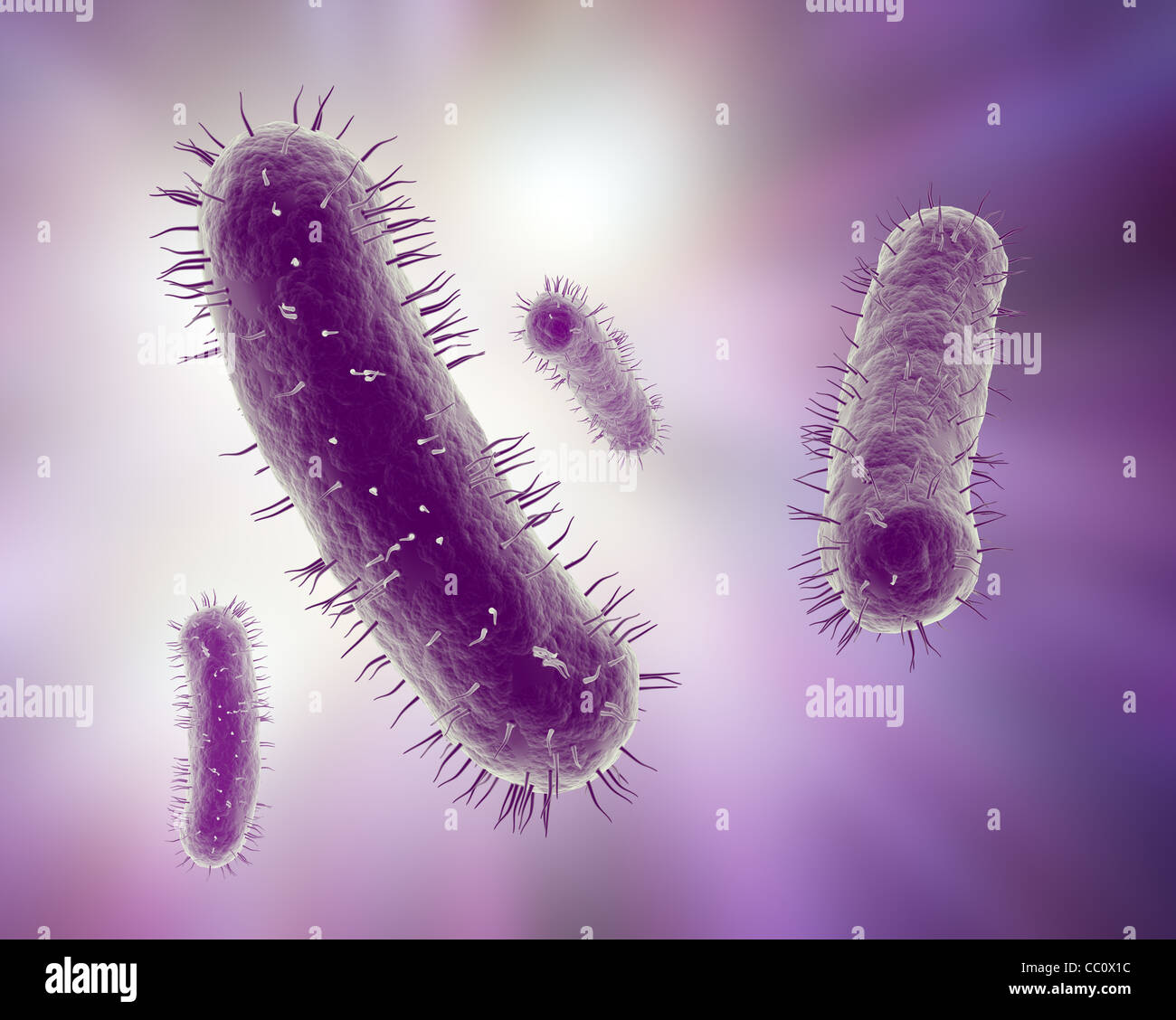Illustrazione scientifica di un gruppo di batteri Foto Stock