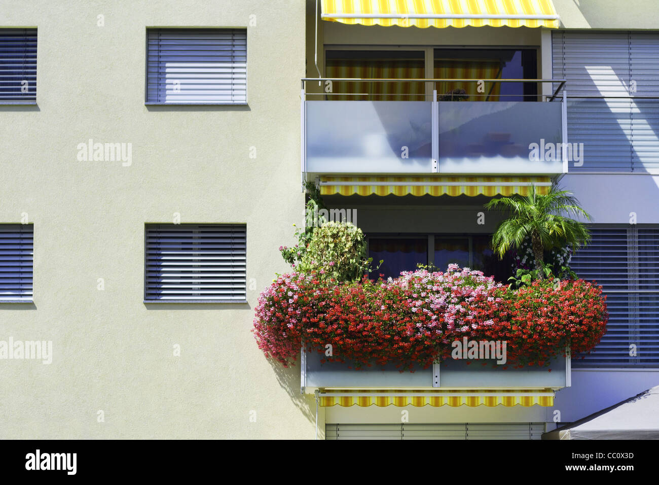 Balcone con fiori Foto Stock