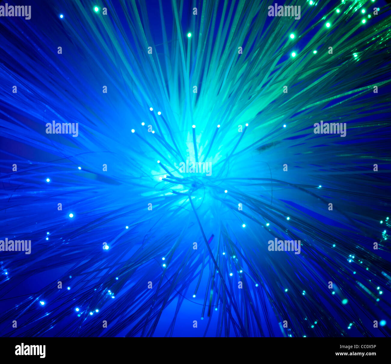 Fibre ottiche del cavo in fibra ottica. La tecnologia di Internet.colore blu Foto Stock