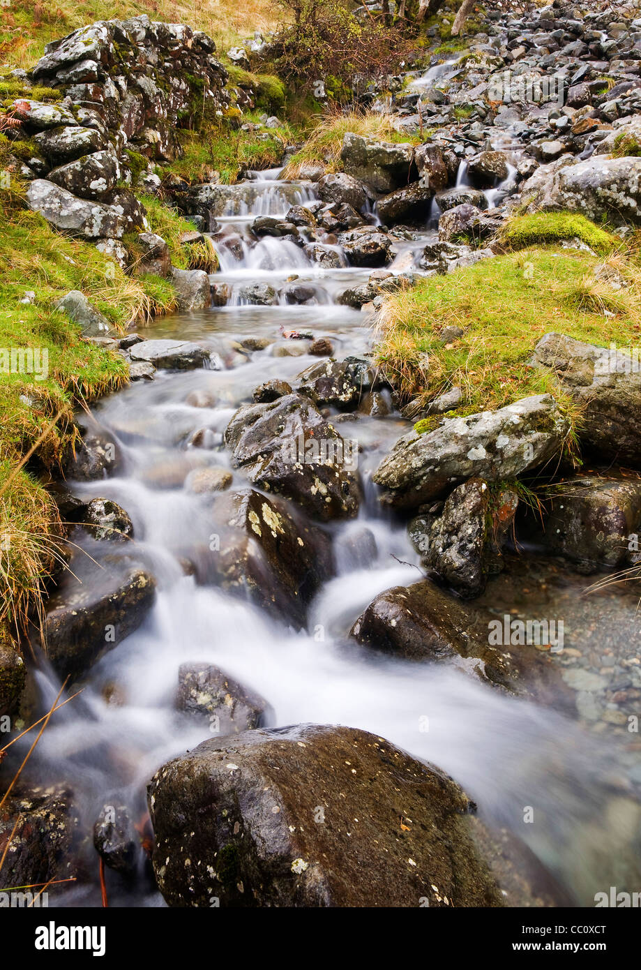 Tumbling Beck, Borrowdale, Lake District Foto Stock