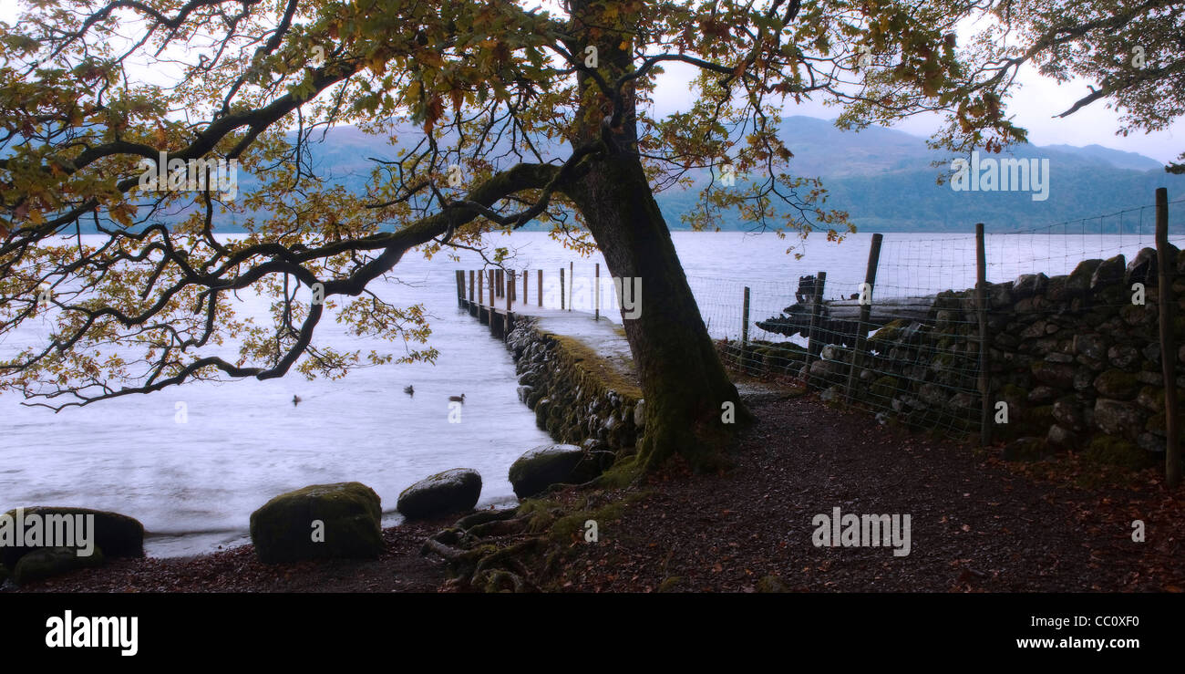 Fase di atterraggio, Derwent Water Lake District Foto Stock